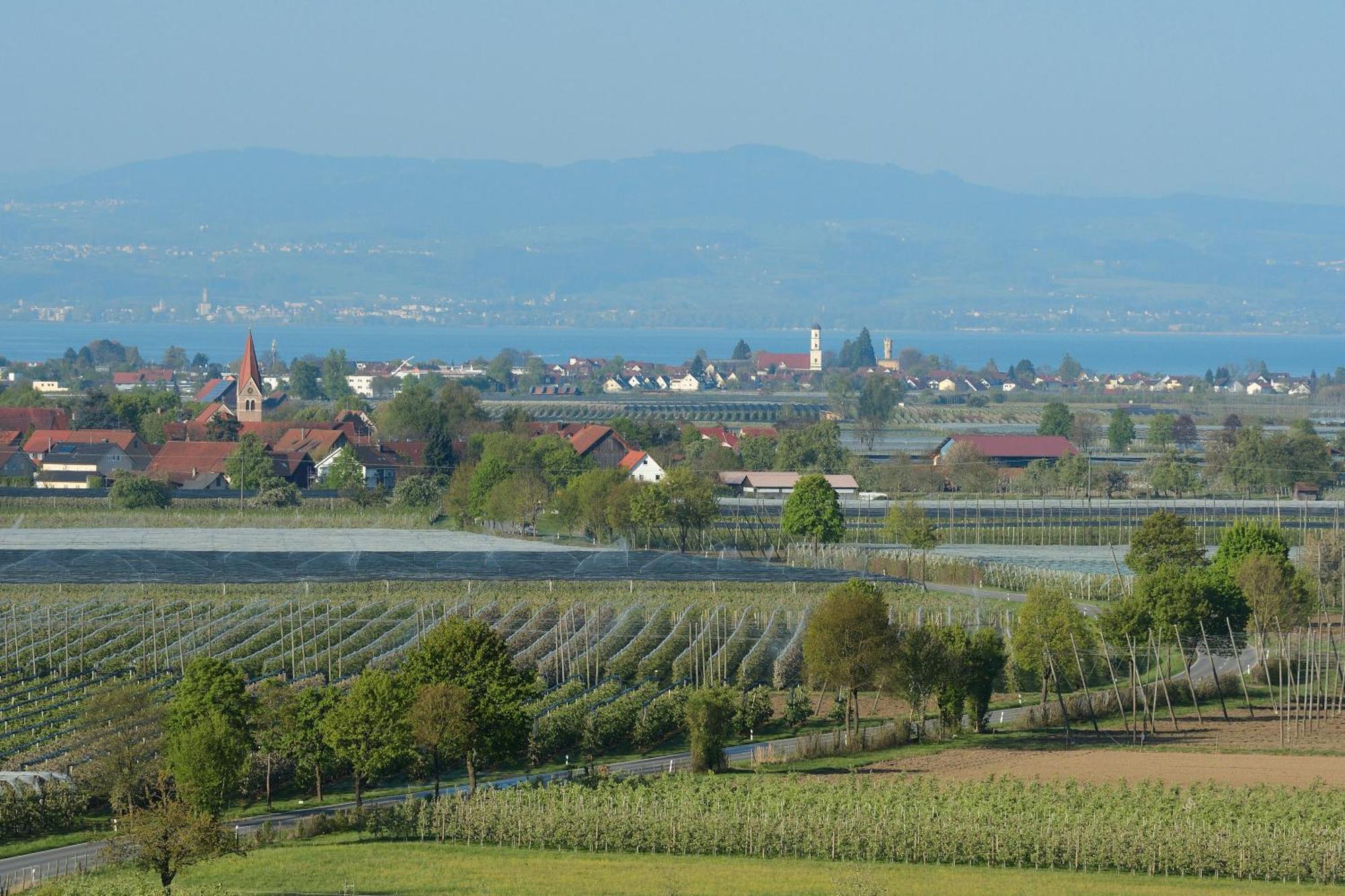 Ferien- Und Obsthof Dillmann Apartment ลังเงนาร์เงน ภายนอก รูปภาพ